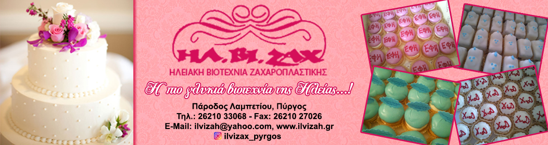 ilvizax1130X300