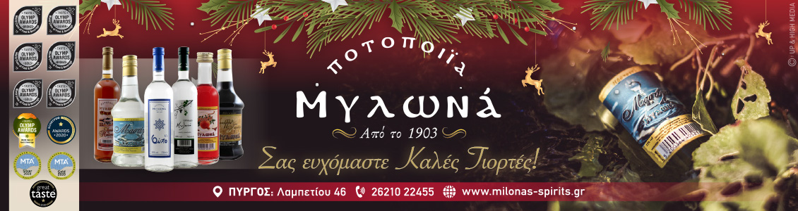 mylona 1130x300xmas