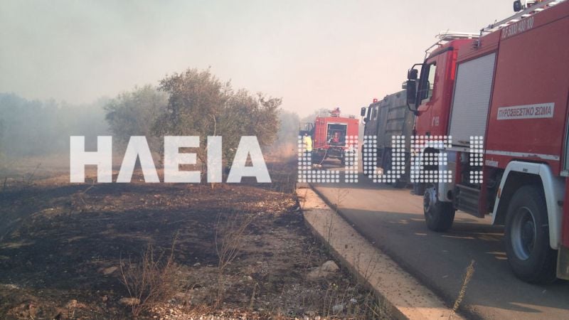 Λάλας: Φωτιά σε πευκοδάσος στη Νεμούτα