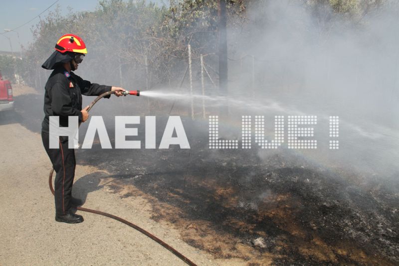 Φωτιές στον Αλφειό με το &quot;καλημέρα&quot;