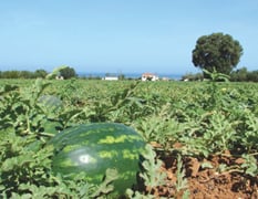 &quot;Δεν μας έχουν πάρει σοβαρά οι πολιτικοί&quot;