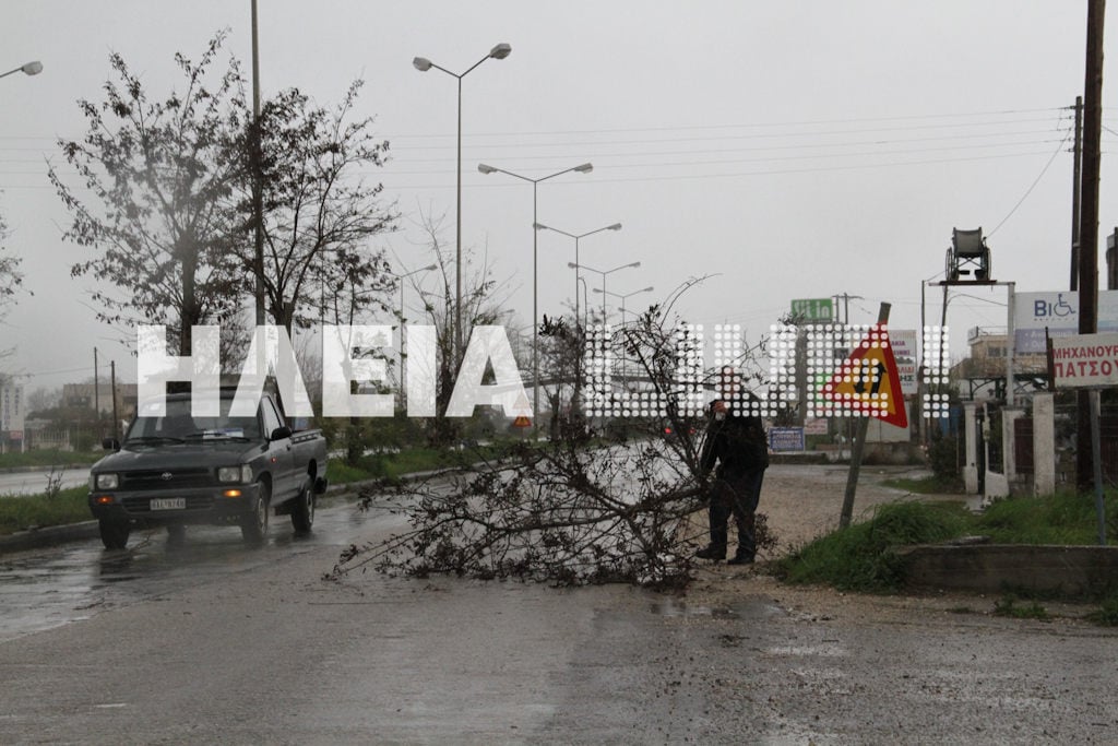 Ηλεία: Στο έλεος του καιρού ο νομός - Δεκάδες πτώσεις δέντρων (Συνεχής ενημέρωση)