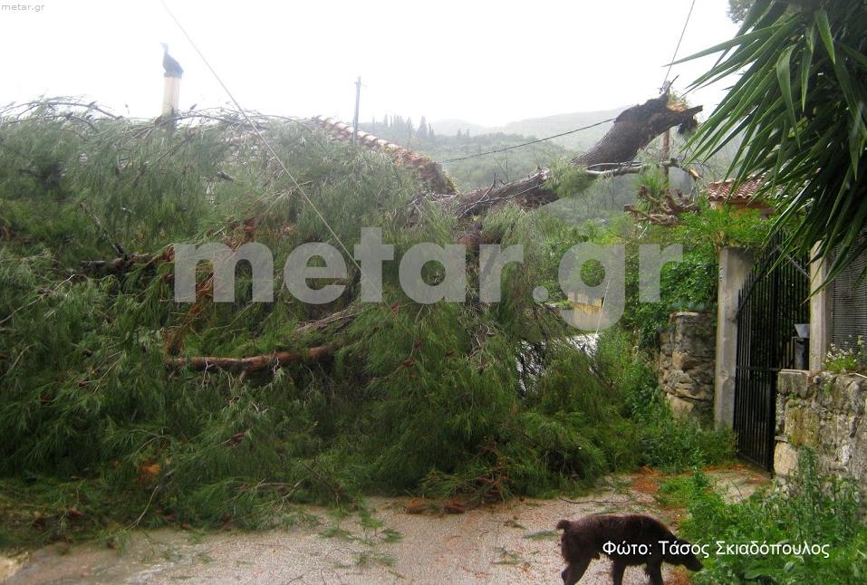 Ζημιές από τους πολύ θυελλώδεις ανέμους στην Ζάκυνθο