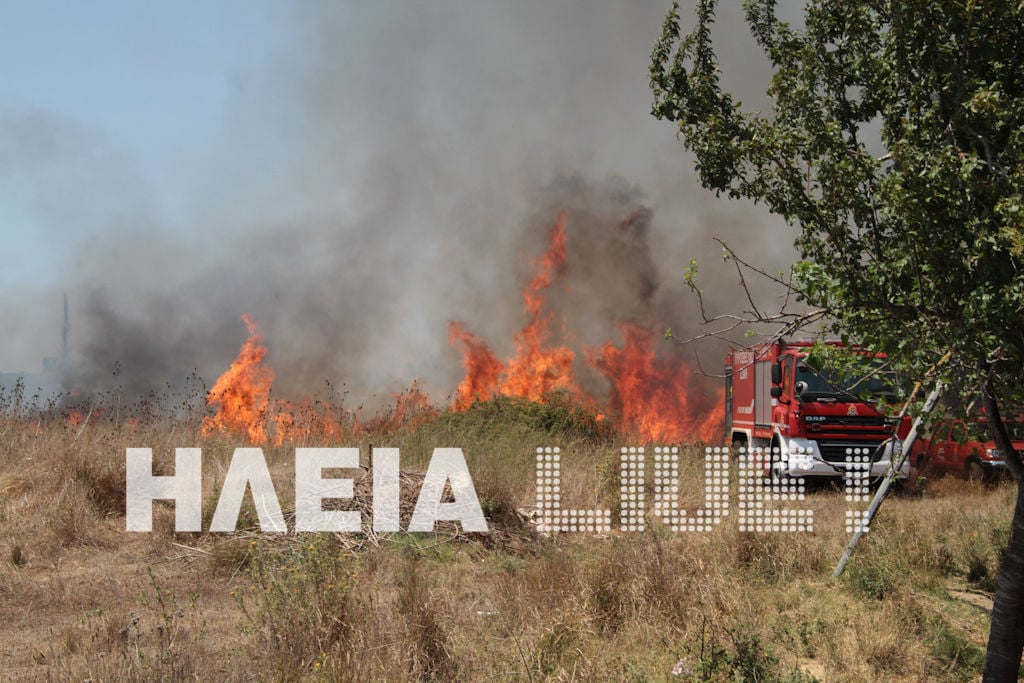 Μανωλάδα: Στάχτη 40 στρέμματα στο Μπρινιά