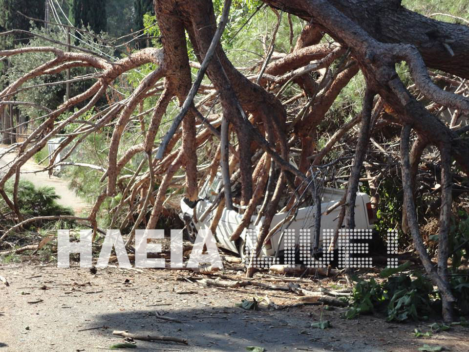 Μακρίσια: Δέντρο &quot;έλιωσε&quot; αυτοκίνητο - Απο θαύμα δεν θρηνήσαμε θύματα (photos)