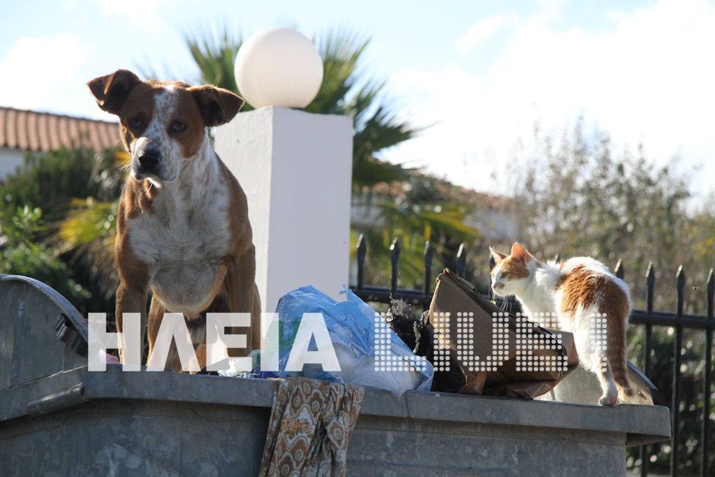 Πύργος: Όλοι μαζί στο μέτωπο των σκουπιδιών