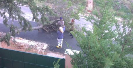 Ισχυροί άνεμοι σαρώνουν τη χώρα. Πτώσεις δέντρων και κλειστοί δρόμοι