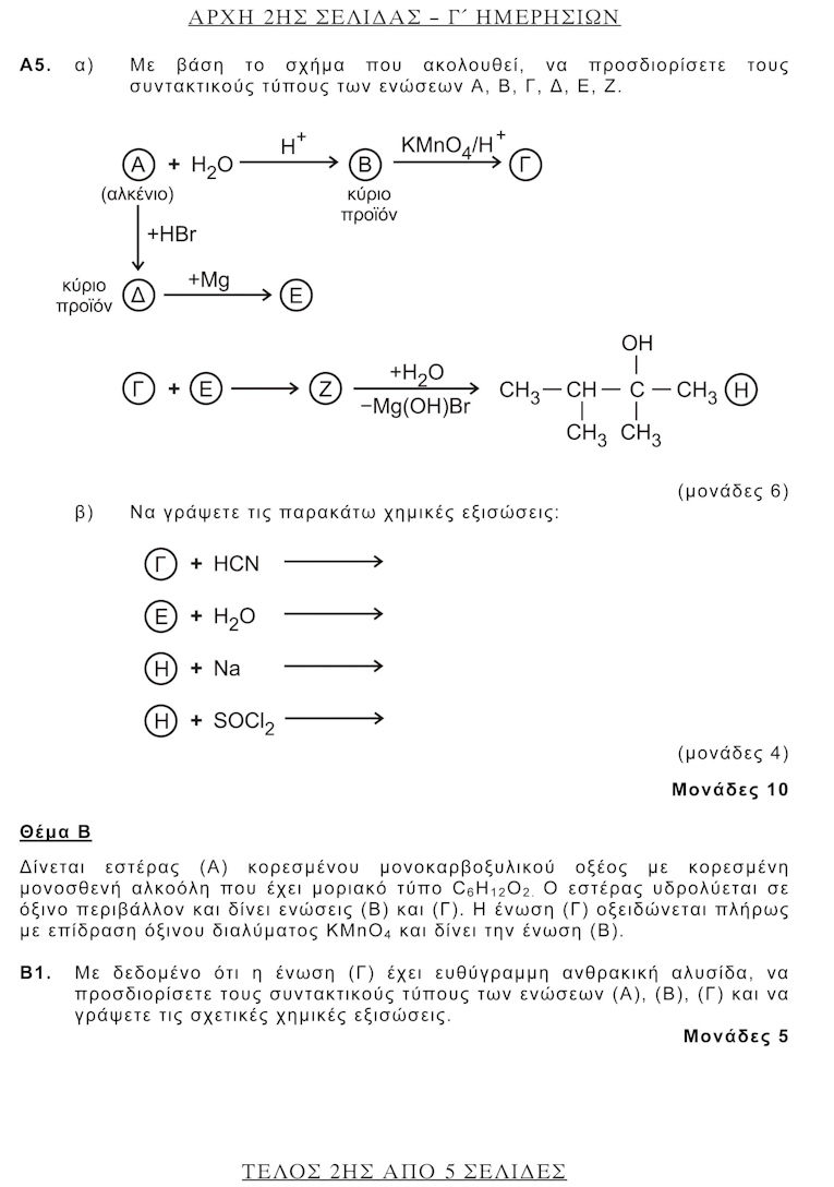 ximeia2