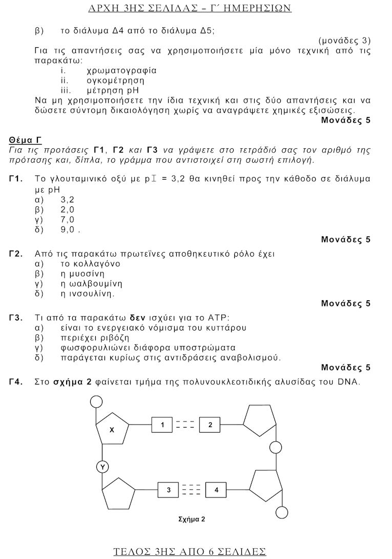 Bioximia them 3