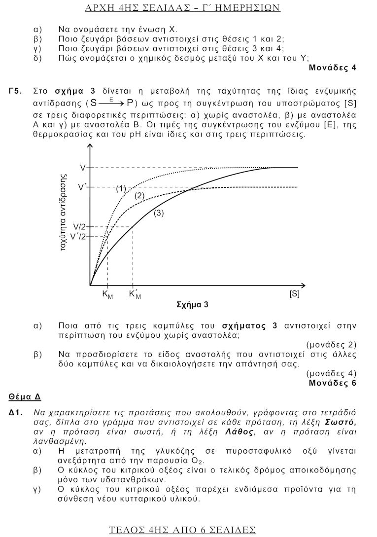 Bioximia them 4