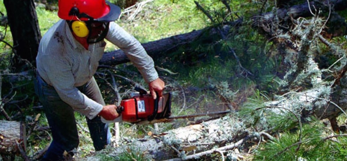 Τραγωδία στην Ηλεία: Νεκρός 56χρονος πατέρας τεσσάρων παιδιών που καταπλακώθηκε από δέντρο