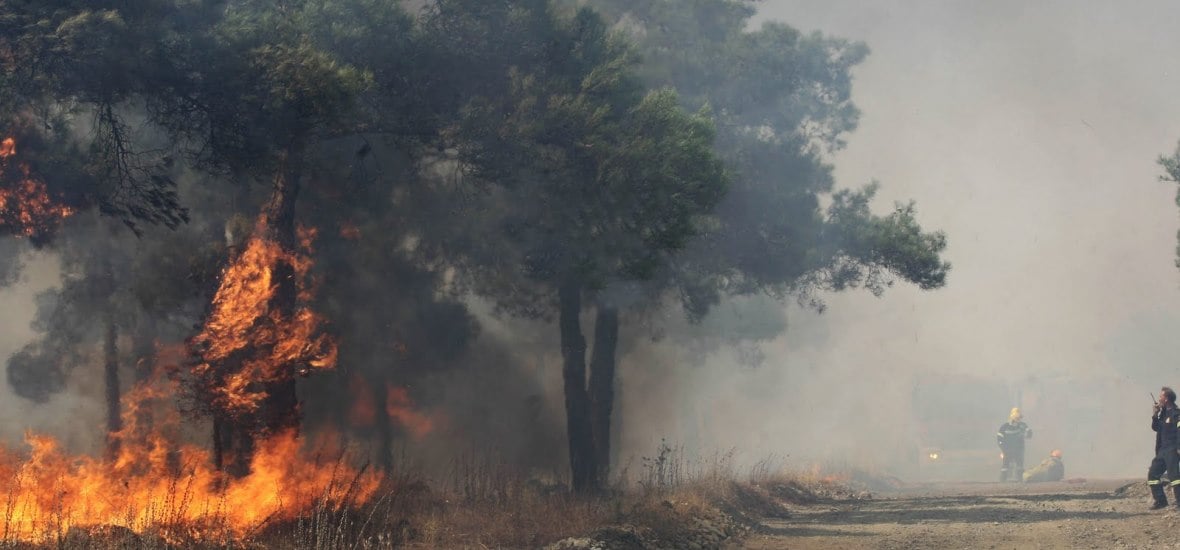 Ηλεία: Συναγερμός στην Πυροσβεστική - Μεγάλη φωτιά στο δάσος της Στροφυλιάς στο Κουνουπελάκι