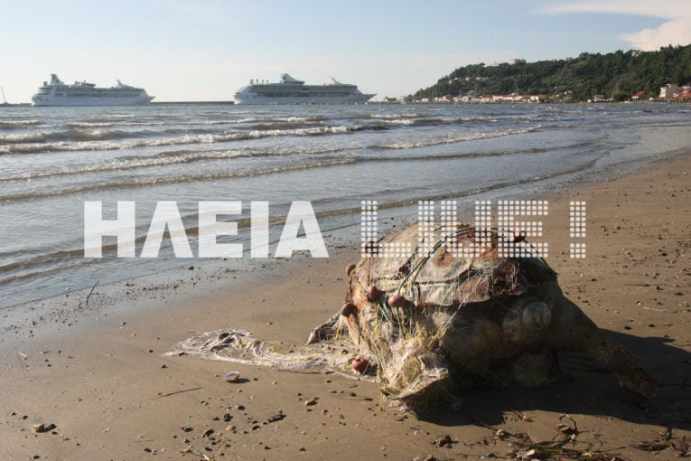 Κατάκολο: Ακόμα μια νεκρή caretta – caretta