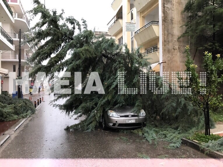 Αμαλιάδα: Πολλά τα προβληματα απο τον καιρό - Δέντρο πλάκωσε ΙΧ