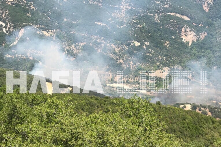 Ηλεία: Ξέσπασε πυρκαγιά στο Κούμανι