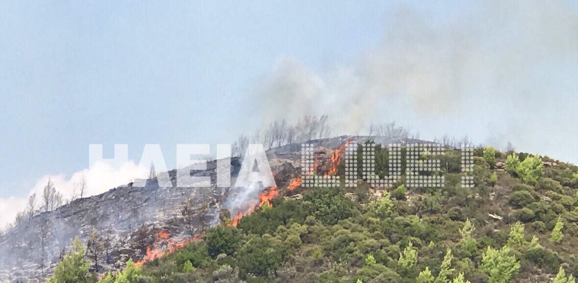 Κρέστενα: Ξέσπασε πυρκαγιά στα Διάσελλα - Κινδύνεψε γυναίκα (photos &amp; video)