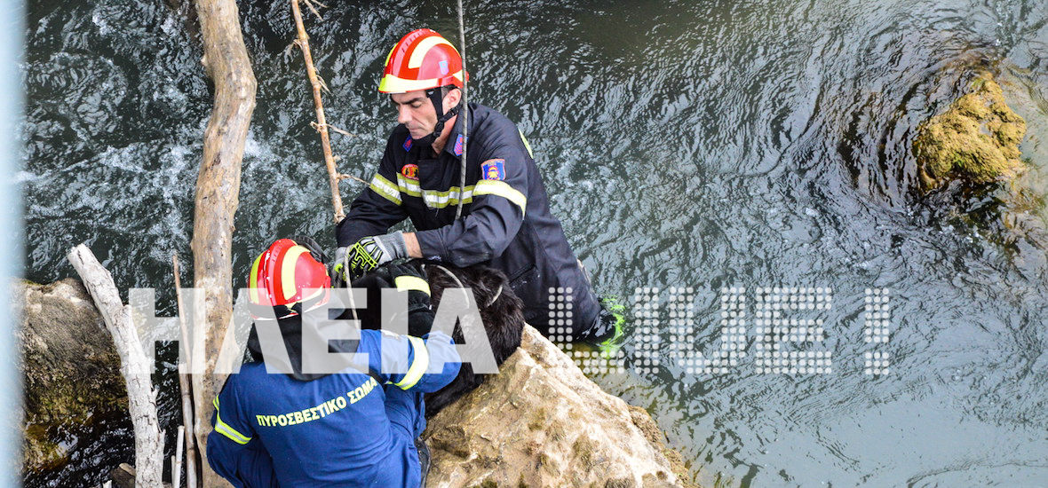 Πύργος: Πυροσβέστες με χρυσή καρδιά . . . (photos &amp; video)