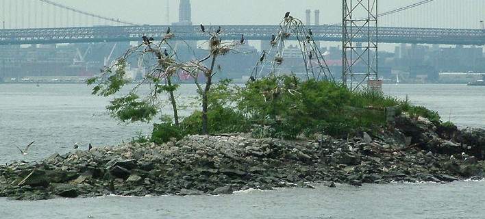 U Thant Island: Το μικροσκοπικό νησί της Νέας Υόρκης που απαγορεύεται να επισκεφτείτε