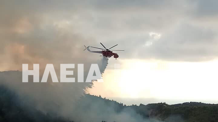 Λέπρεο: Ξέσπασε πυρκαγιά μέσα σε δύσβατη δασική έκταση (photos)