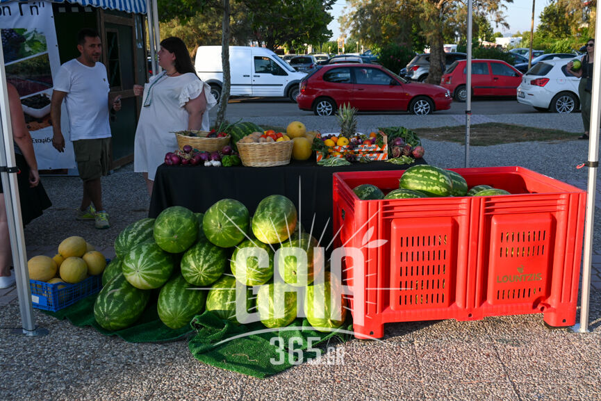 Festival agroti 3