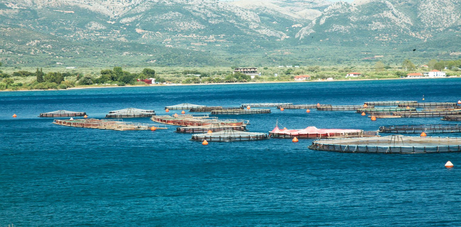 Ιχθυοκαλλιέργεια για οικονομική ανάπτυξη και βιωσιμότητα