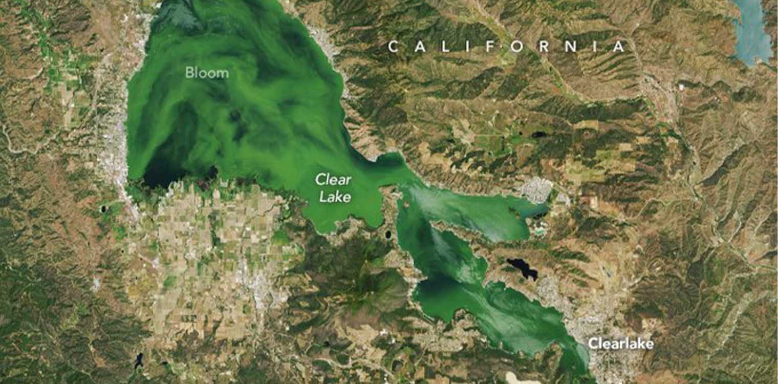 Τοξικά φύκια έκαναν λίμνη των ΗΠΑ τόσο πράσινη που ξεχωρίζει από το διάστημα