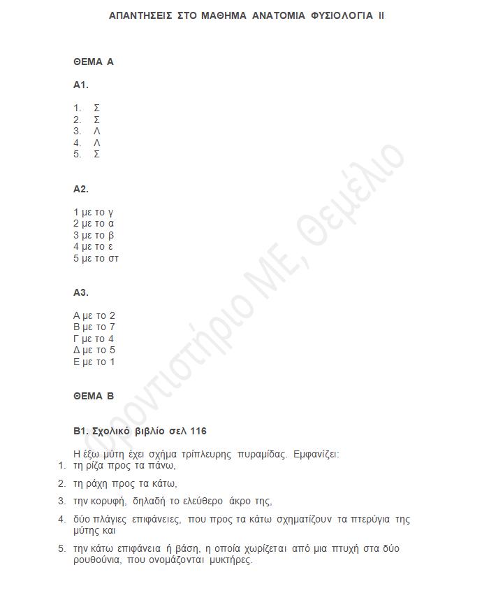 themelio panelladikes24 anatomia epal 1