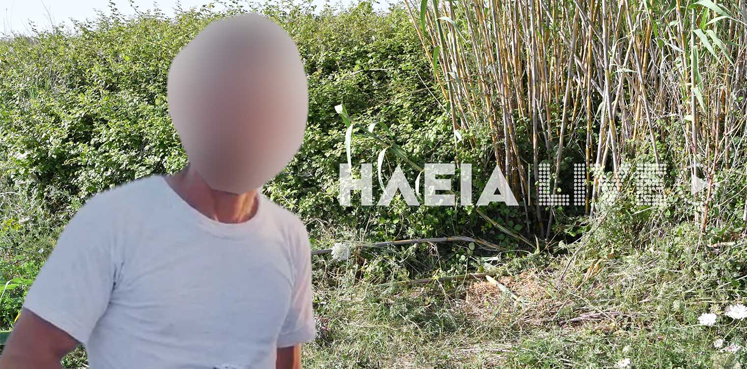 Ηλεία: Στις φυλακές Γρεβενών ο δολοφόνος της 11χρονης Βασιλικής