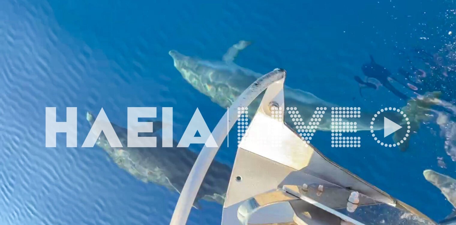 Ιόνιο: Το παιχνίδισμα των δελφινιών στα καταγάλανα και ήρεμα νερά (video)