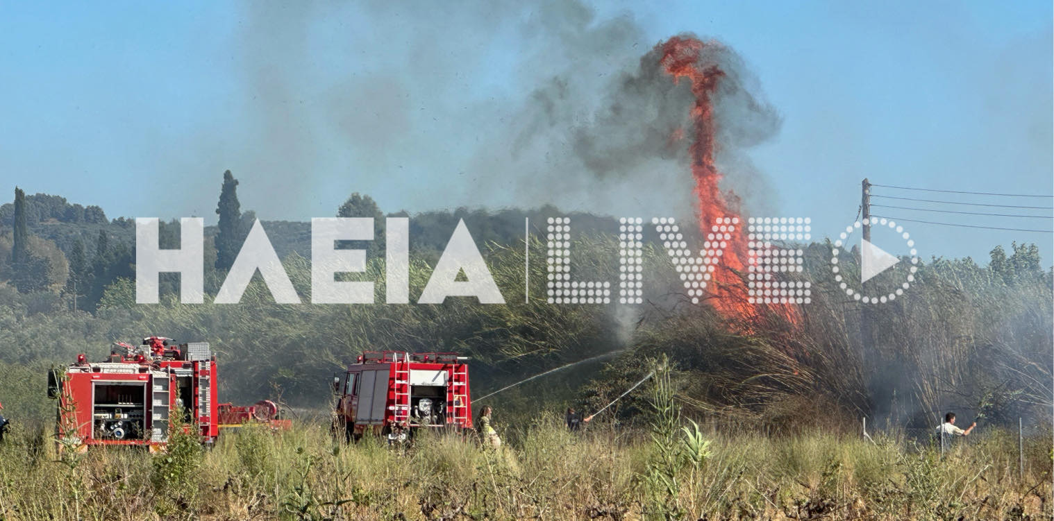 Πύργος: Ξέσπασε πυρκαγιά σε αγροτική έκταση στις Κολιρέικες Παράγκες- Και δεύτερο περιστατικό σε σπίτι από καλώδιο ρεύματος (upd)