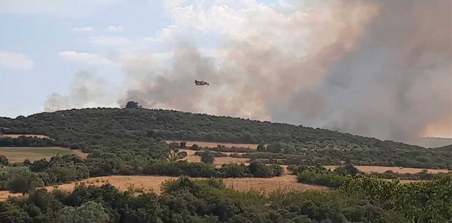 Φωτιά στη Νιγρίτα Σερρών - Ενισχύθηκαν οι πυροσβεστικές δυνάμεις (video)