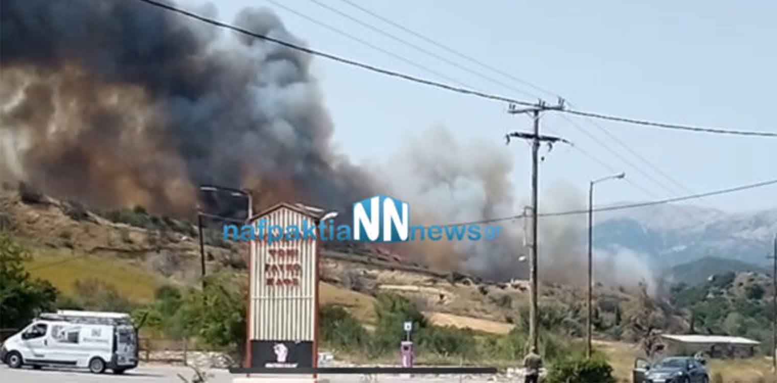 Φωτιά στη Ναύπακτο: Μεγάλη μάχη με τις φλόγες στον Πλατανίτη - Εκκενώνονται οικισμοί