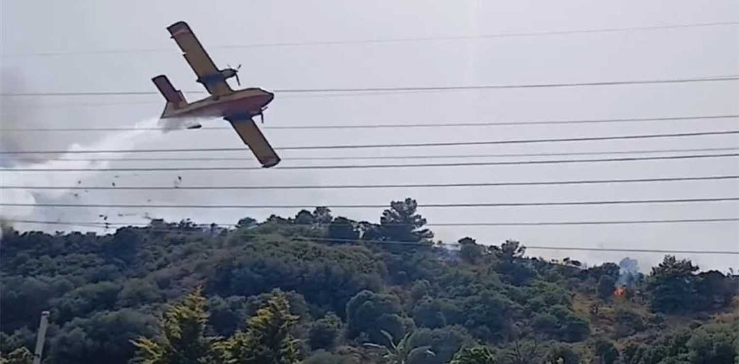 Φωτιά στη Ναύπακτο: Canadair «ξύνει» την κορυφή πεύκου - Βίντεο που κόβει την ανάσα