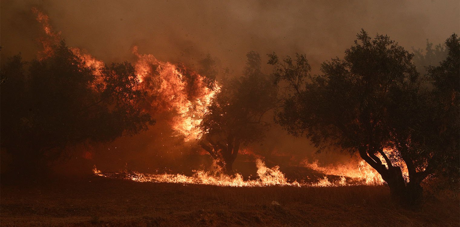 Ανησυχία για τη φωτιά στην Άνδρο: Το μέτωπο έχει πάρει διαστάσεις - Εκκενώθηκαν 4 περιοχές