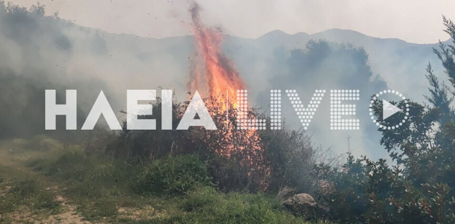Καλλιθέα Ανδρίτσαινας : Ξέσπασε πυρκαγιά σε αγροτοδασική έκταση - Κινητοποίηση της πυροσβεστικής