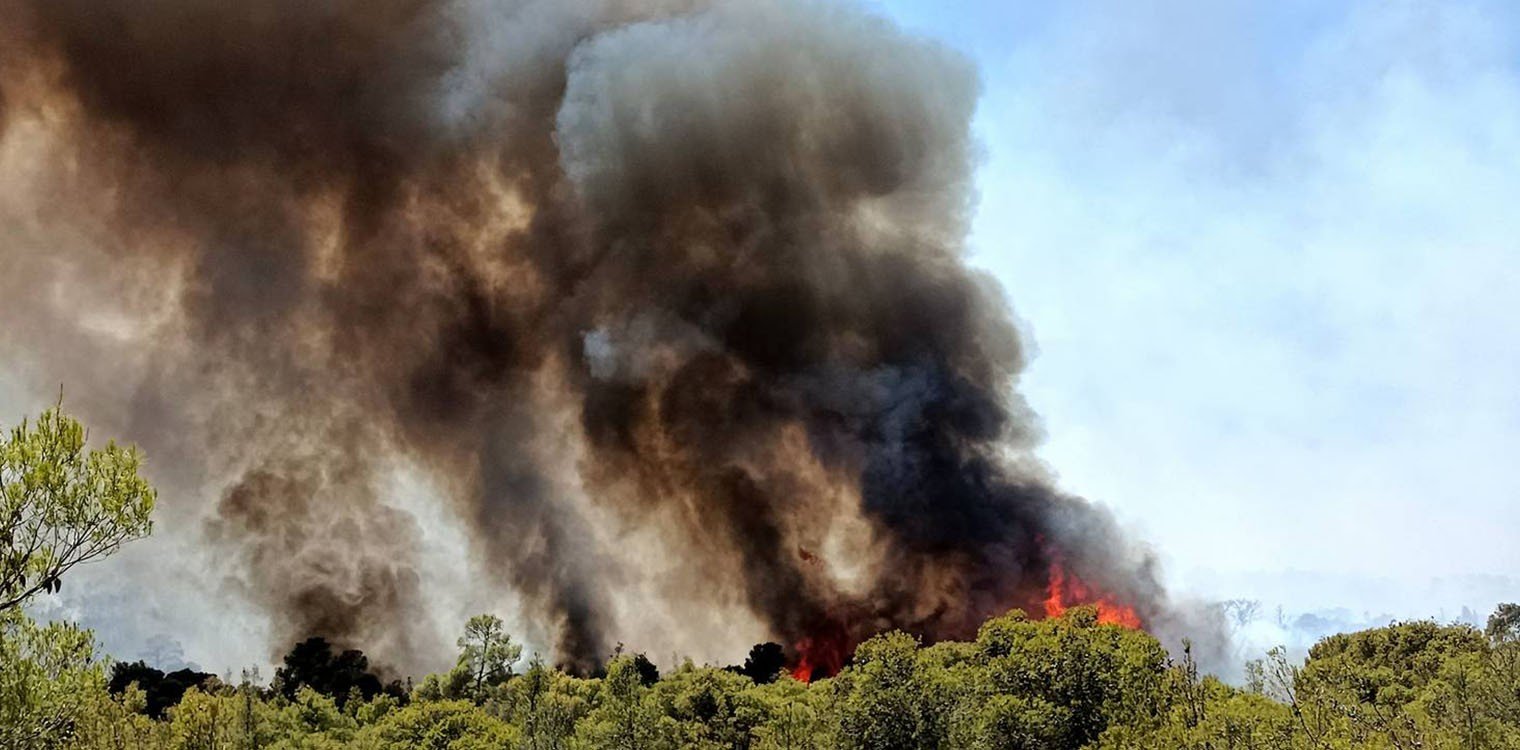 Μάχη σε δύο μέτωπα στη φωτιά στο Σοφικό - Καίγεται πευκοδάσος - Δεν κινδυνεύουν οικισμοί