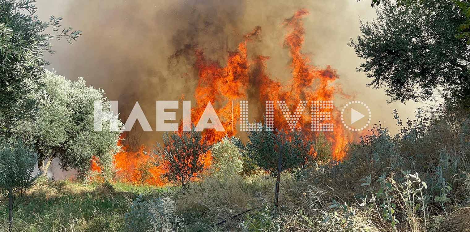 Ταξιάρχες Ζαχάρως: Συναγερμός για πυρκαγιά σε δασική έκταση - Η πυροσβεστική πρόλαβε τα χειρότερα