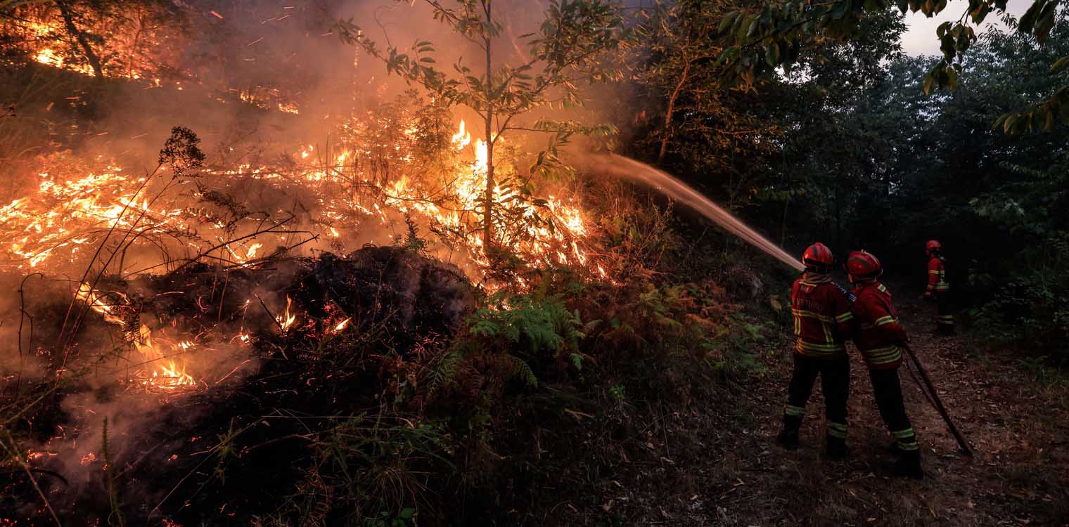 Πορτογαλία: Υπό έλεγχο οι περισσότερες πυρκαγιές στη χώρα - Σύλληψη 14 υπόπτων για εμπρησμό