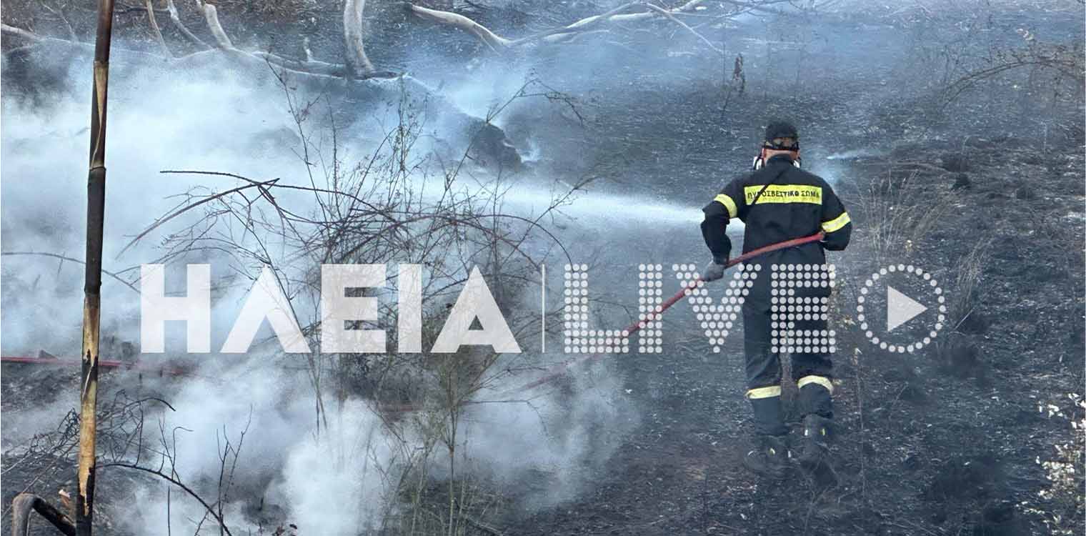 Πύργος: Νέα πυρκαγιά στις όχθες του Αλφειού, κοντά στο Ποτόκι