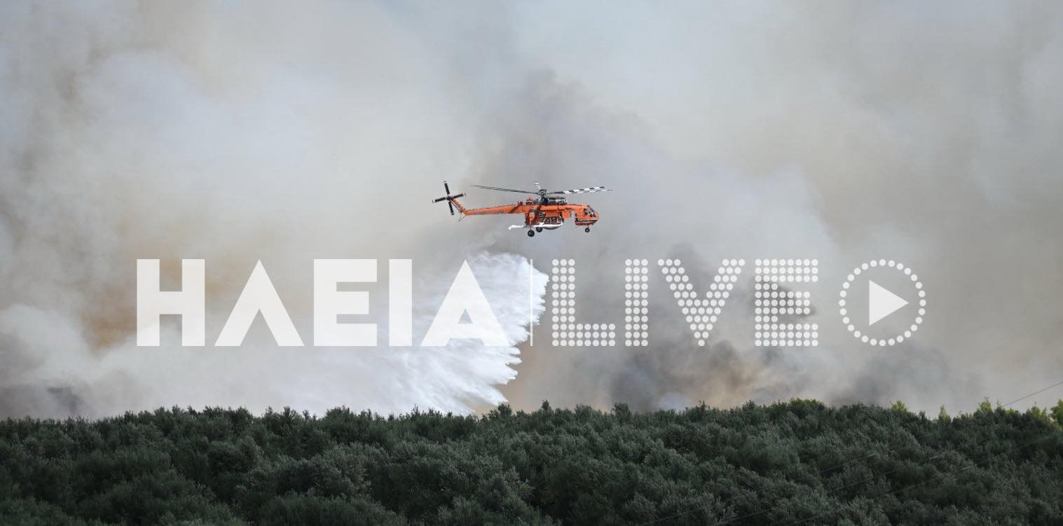 Ηλεία: Φτάνει στο νομό κλιμάκιο της Διεύθυνσης Αντιμετώπισης Εγκλημάτων Εμπρησμού