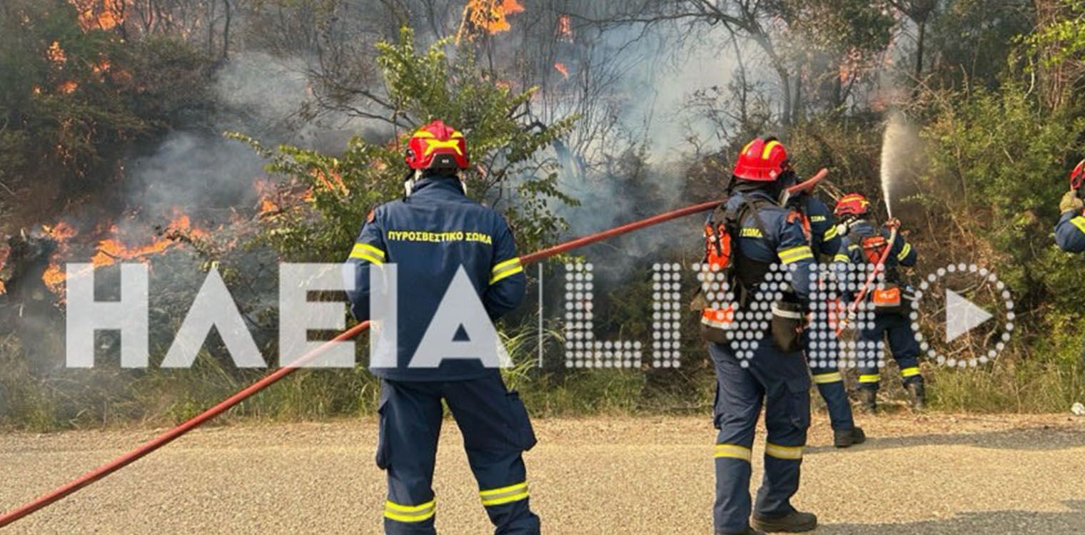 Πρόλαβαν τα χειρότερα οι πυροσβεστικές δυνάμεις: Βελτιωμένη η εικόνα της πυρκαγιάς σε Γεράκι, Μπουμπούνα και Χάβαρι 