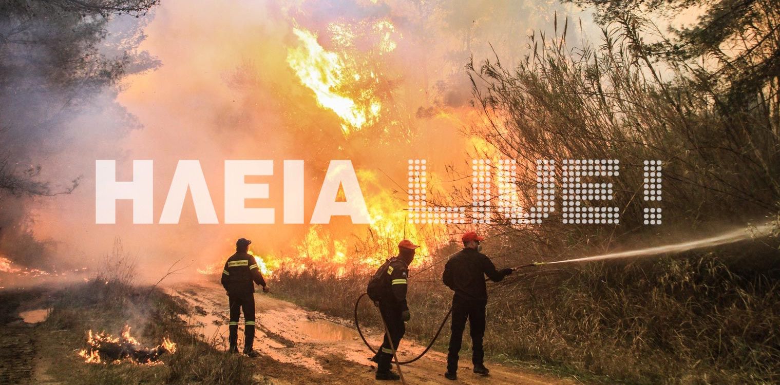 Ανησυχητικές προβλέψεις Συνολάκη για τις φωτιές στην Ελλάδα: Τι είναι η «αρχική επιθετική εισβολή» και γιατί είναι σημαντική