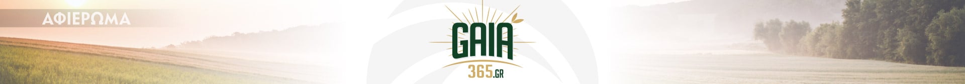 Αφιέρωμα Gaia365.gr