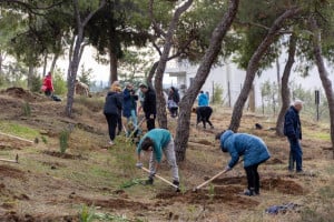 Θεσσαλονίκη: Δενδροφύτευση στο υπό διαμόρφωση περιαστικό δάσος στην περιοχή της Τριανδρίας