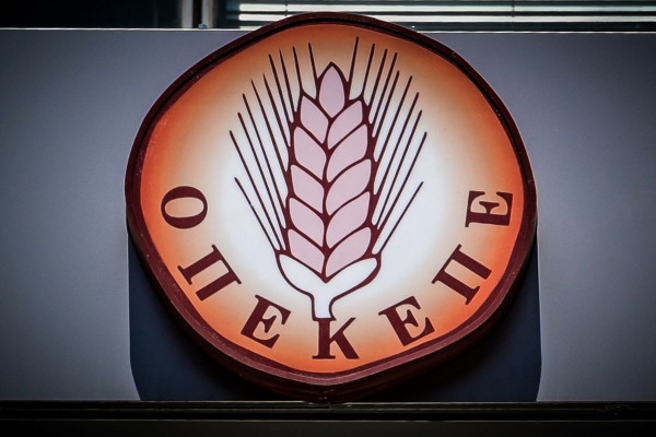 ΟΠΕΚΕΠΕ: Ολοκληρώθηκαν οι απολογίες των κατηγορουμένων - Προφυλακίστηκε ο ένας λογιστής