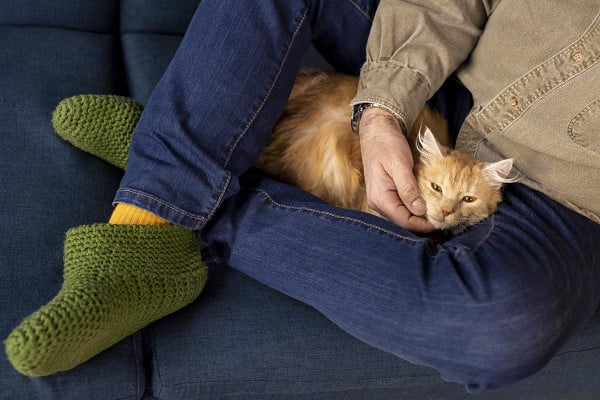 Οι τρυφεροί λόγοι που η γάτα θέλει να κοιμάται πάνω στα πόδια μας