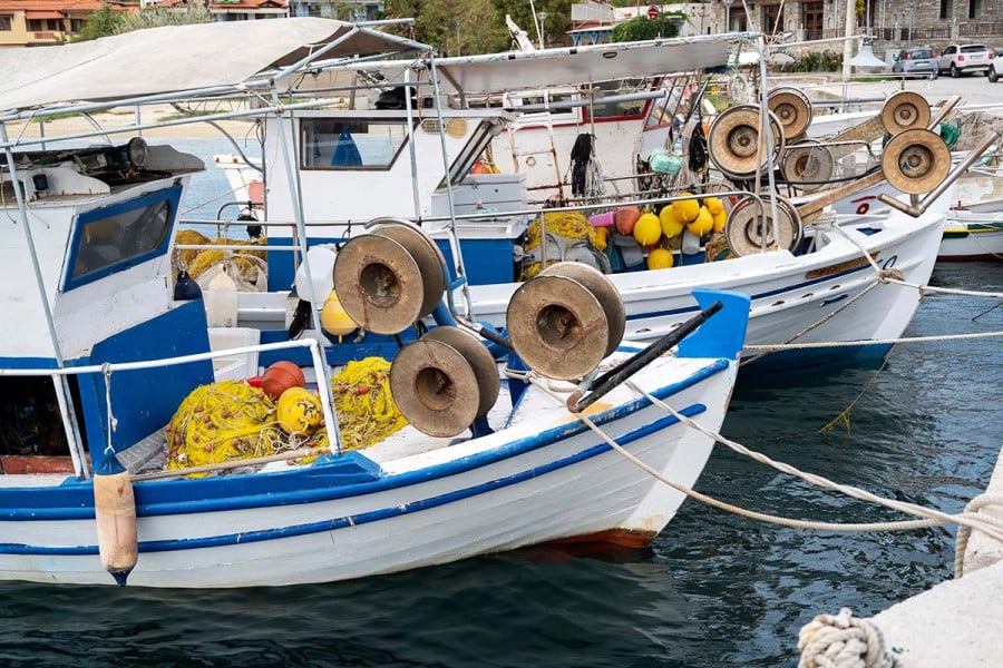 Ηλεία: Αποζημίωση παράκτιων αλιέων για ζημιές από θαλάσσια προστατευόμενα είδη