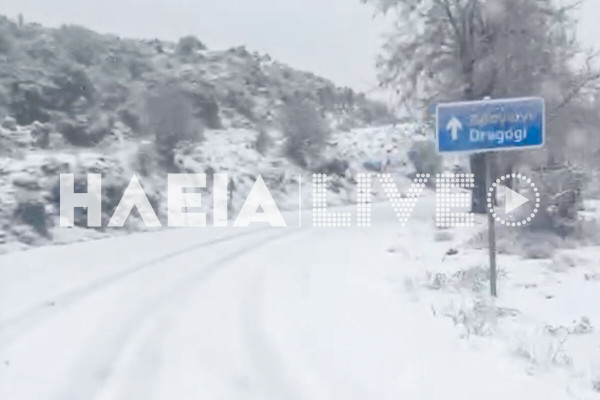 Ηλεία: Το &quot;στρωσε&quot; στον Επικούριο Απόλλωνα (video)