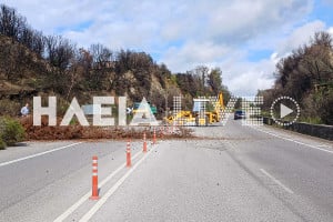 Απομακρύνθηκαν όλα τα καμένα δέντρα εκατέρωθεν της Πατρών - Πύργου, στο ύψος των Χανακίων