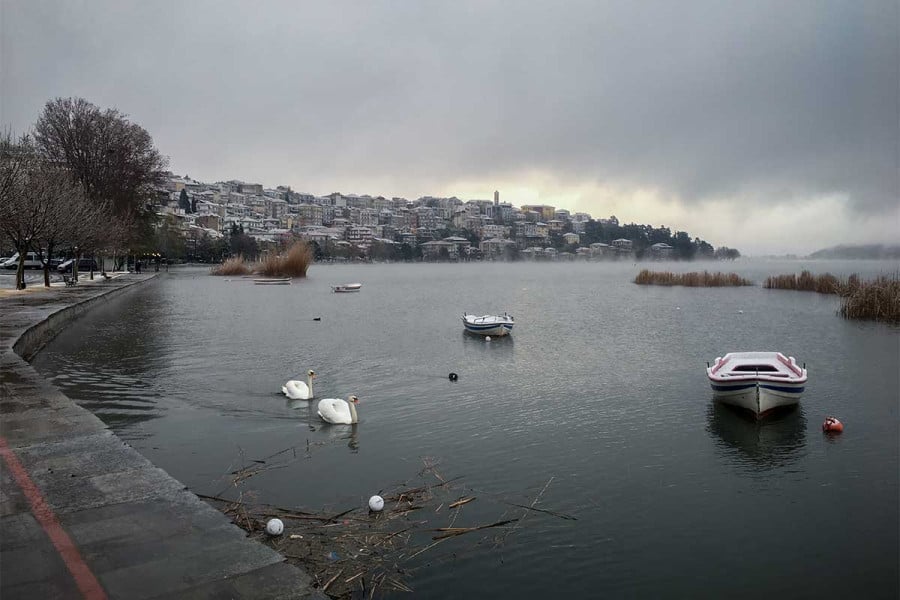 Καστοριά: Γιατί την επιλέγουν τα πουλιά από την βόρειο Ευρώπη για να ξεχειμωνιάσουν